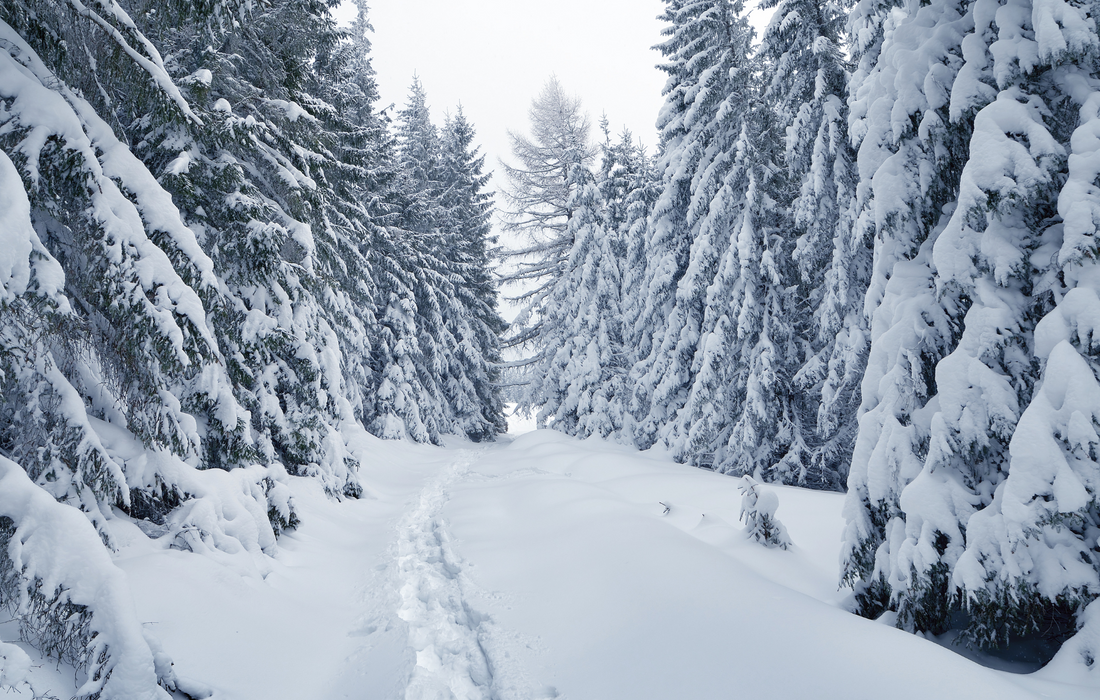 4 Tips to Avoid Dry Skin During Winter