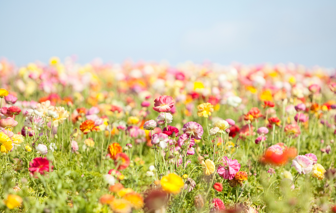 5 Spring Skincare Tips