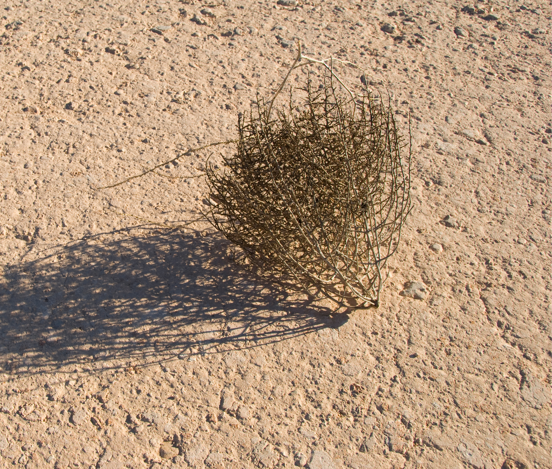 Dehydrated Skin vs. Dry Skin