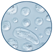 Clean Skin Club