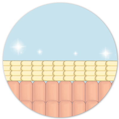 Clean Skin Club