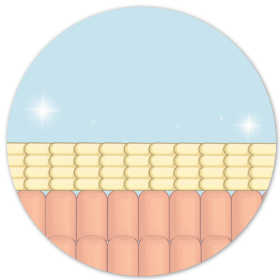 Clean Skin Club