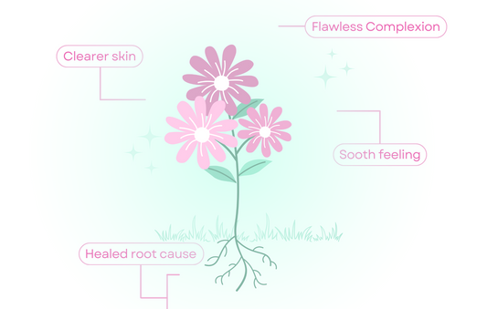 Getting To The Root of Your Skin Concerns