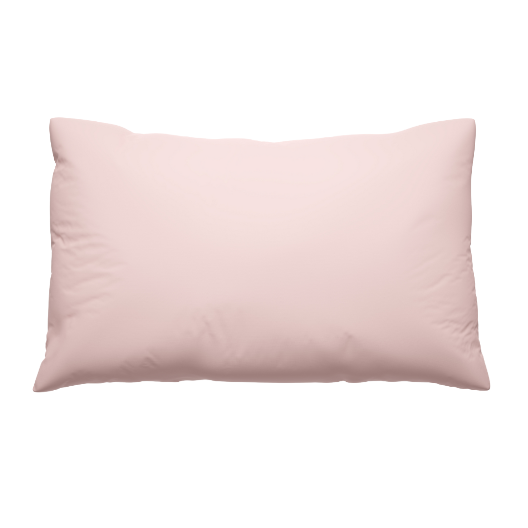 Clean Sleep Silver Ion Pillowcase