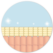 Clean Skin Club
