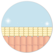 Clean Skin Club