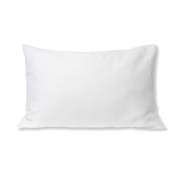 Clean Sleep Silver Ion Pillowcase